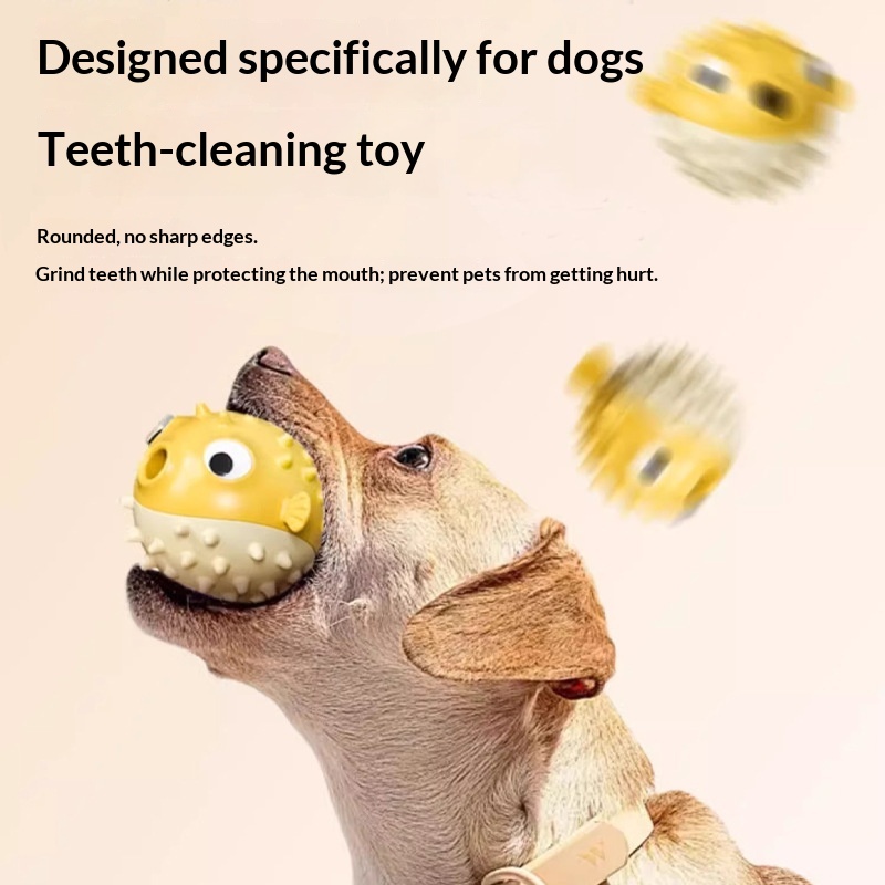 Bouncing Fish Dog Chew Toy with Sound