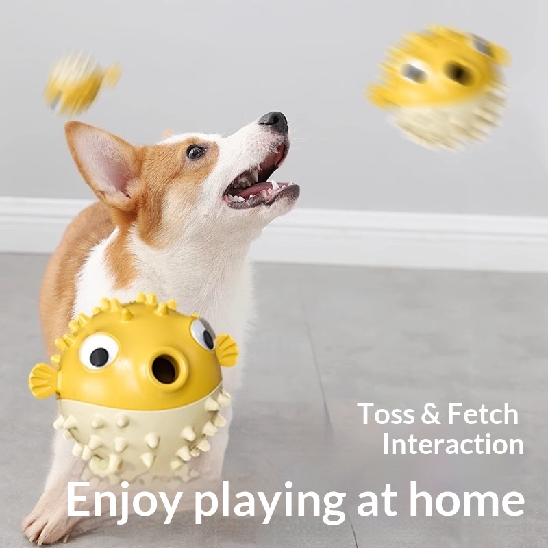 Bouncing Fish Dog Chew Toy with Sound