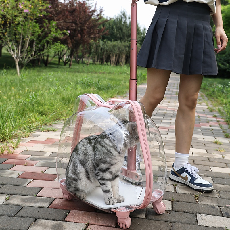 Pet Trolley Case Lightweight Backpack