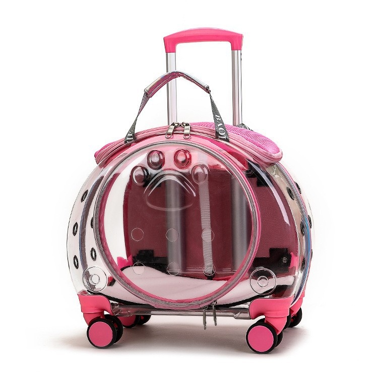Outdoor Trolley Pet Outing Backpack