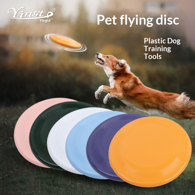 Pet Training Flying Disc / Dog Frisbee