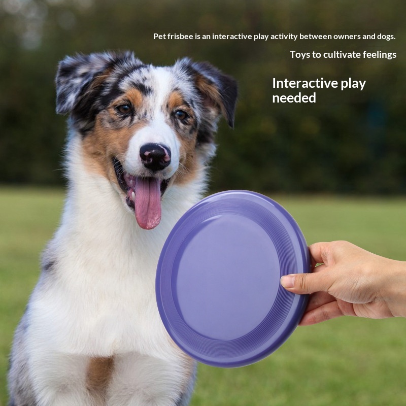 Pet Training Flying Disc / Dog Frisbee