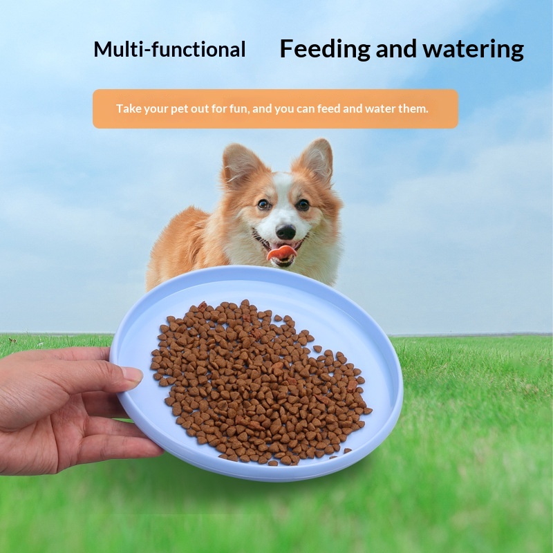 Pet Training Flying Disc / Dog Frisbee