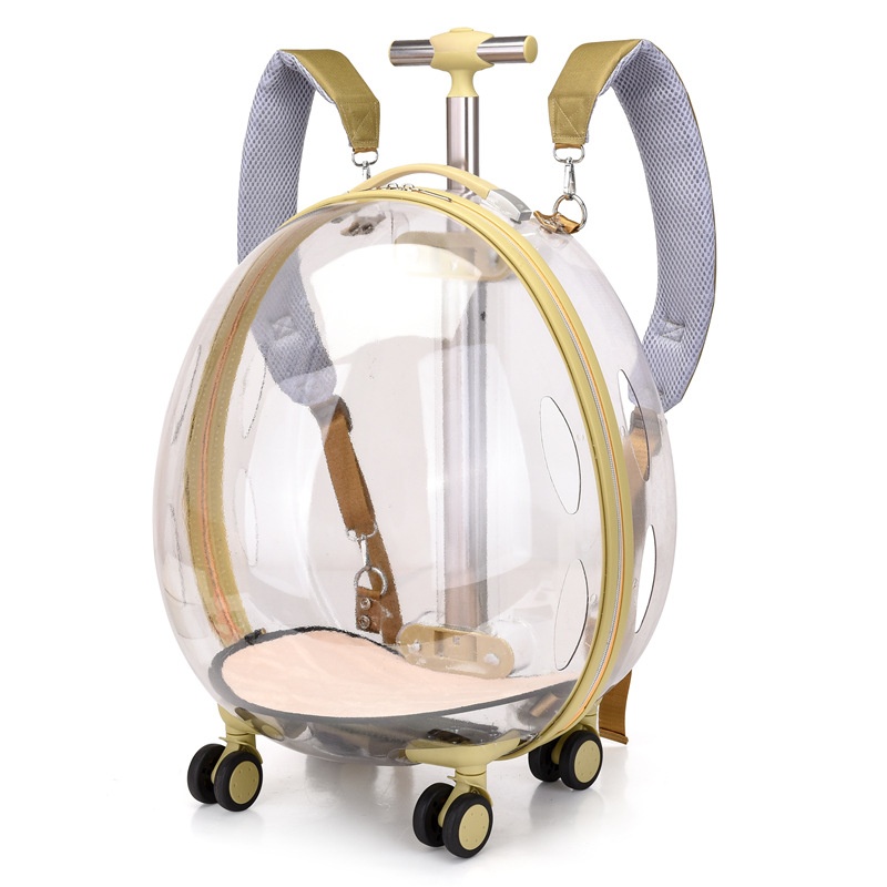 Cat Bag Space Capsule Bubble Box