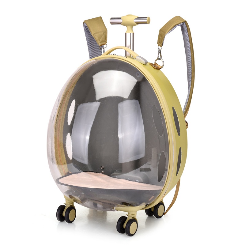 Cat Bag Space Capsule Bubble Box