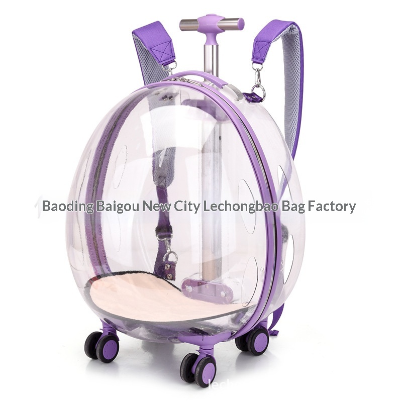 Cat Bag Space Capsule Bubble Box