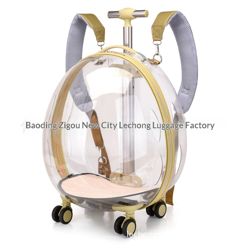 Cat Bag Space Capsule Bubble Box