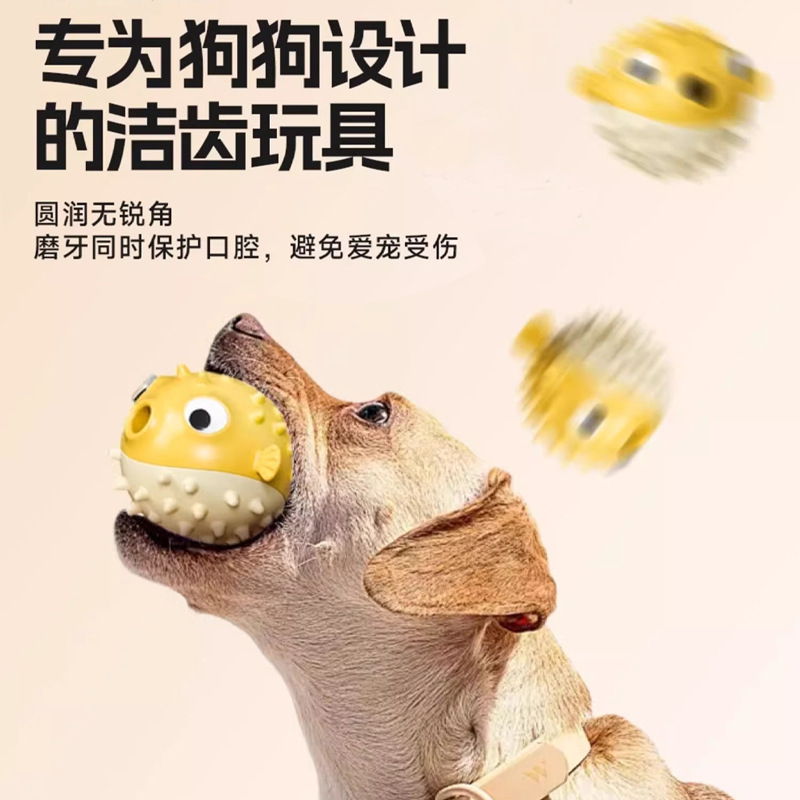 Bouncing fish-shaped dog chew toy for teeth grinding, bite