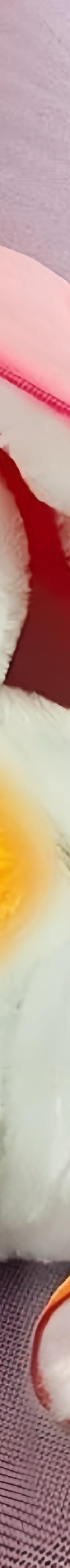 Breathing Buddies: Soothing Plush Bunny in a Soft Fruit — detail view