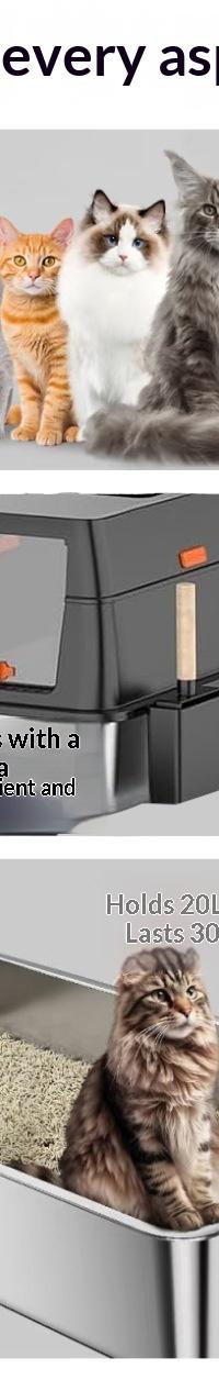Enclosed Cat Litter Box with Odor Lock & Anti-Splash Walls — top view