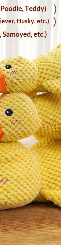 Squeaky Plush Duck Dog Toy Built for Big Chewers — in use