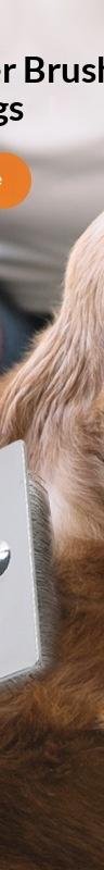 Wooden-Handle Pet Brush for Shed-Free Cats and Dogs