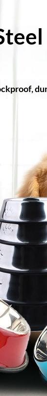 No-Skid Stainless Steel Pet Bowl for Tidy Mealtimes