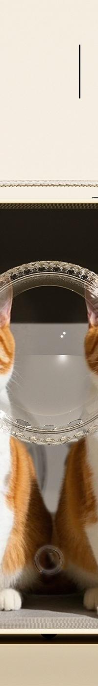 猫咪外出便携拉杆箱 — 侧视图