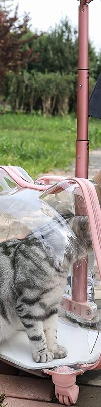 Roll-or-Wear Pet Carrier With Ventilated Bubble Window — side view