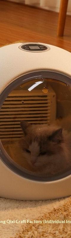 Pet Drying Box Cat Dryer Machine