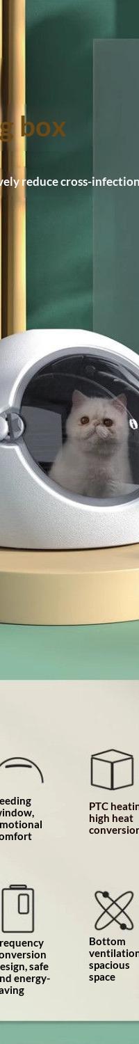 Gentle Warm-Air Pet Drying Box for Cats & Dogs — in use