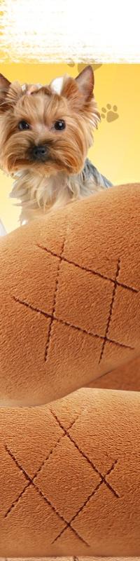 Squeaky Plush Chew Toys in Bone, Drumstick and Carrot — detail view