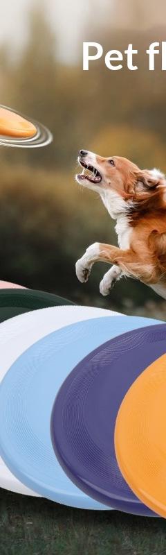 Pet Training Flying Disc / Dog Frisbee