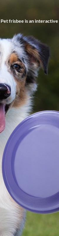 Floating Bite-Resistant Dog Frisbee for Fetch & Training — detail view
