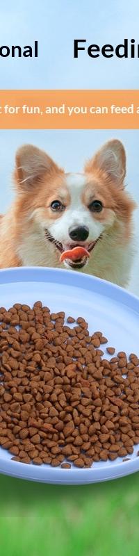 Floating Bite-Resistant Dog Frisbee for Fetch & Training — in use