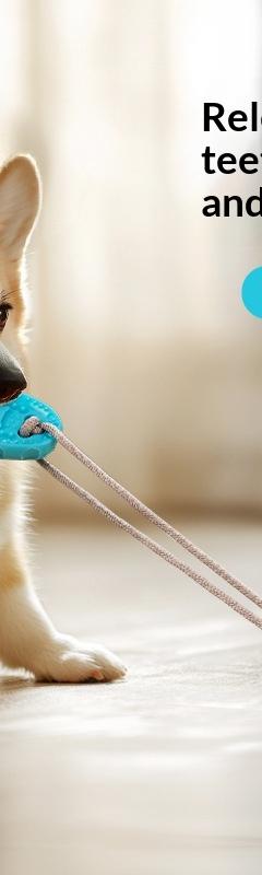Suction Cup Slipper Dog Chew Toy with Treat Dispenser
