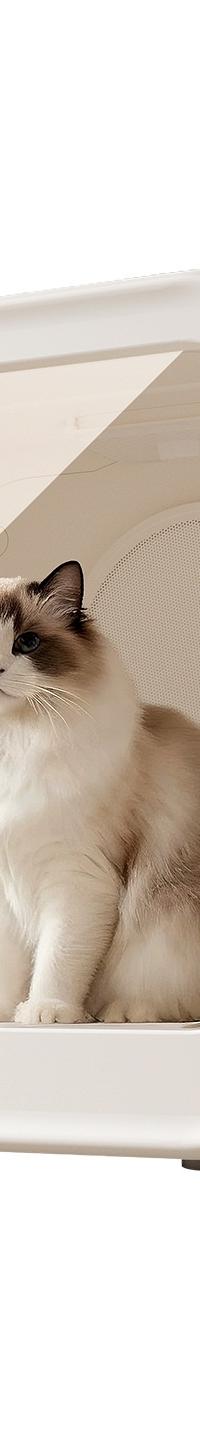 Enclosed Pet Drying Box, Quiet 40dB Warm-Air Dryer — top view