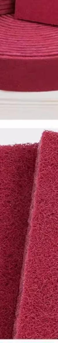 Diamond-Grit Scouring Pad for Baked-On Grease & Rust — top view
