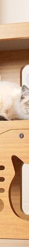 3-Layer Cardboard Cat Scratcher & Cozy Hideaway House