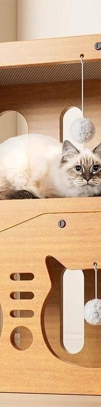 3-Layer Cardboard Cat Scratcher & Cozy Hideaway House — in use