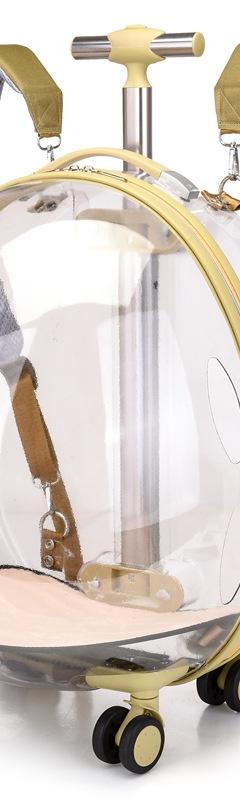 Cat Bag Space Capsule Bubble Box