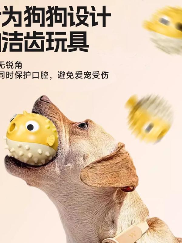Bouncing Fish Chew Toy That Cleans Your Dog's Teeth