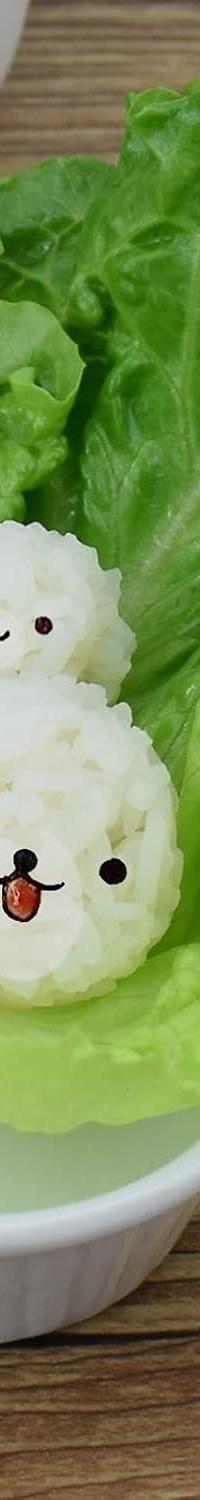No-Mess Rice Ball Shaker Set for Lunchboxes & Onigiri — packaging