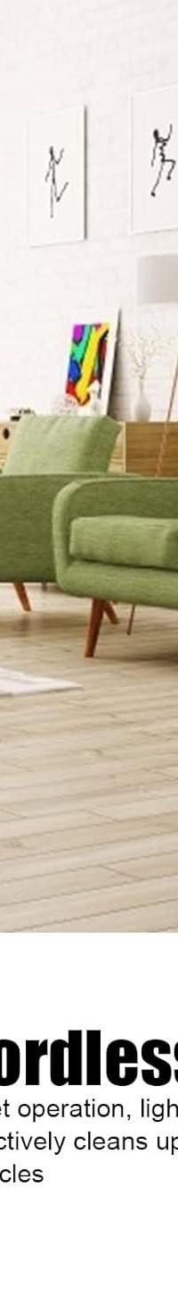 LineVac Broom: Catch the Dust Line Your Pan Always Misses — detail view